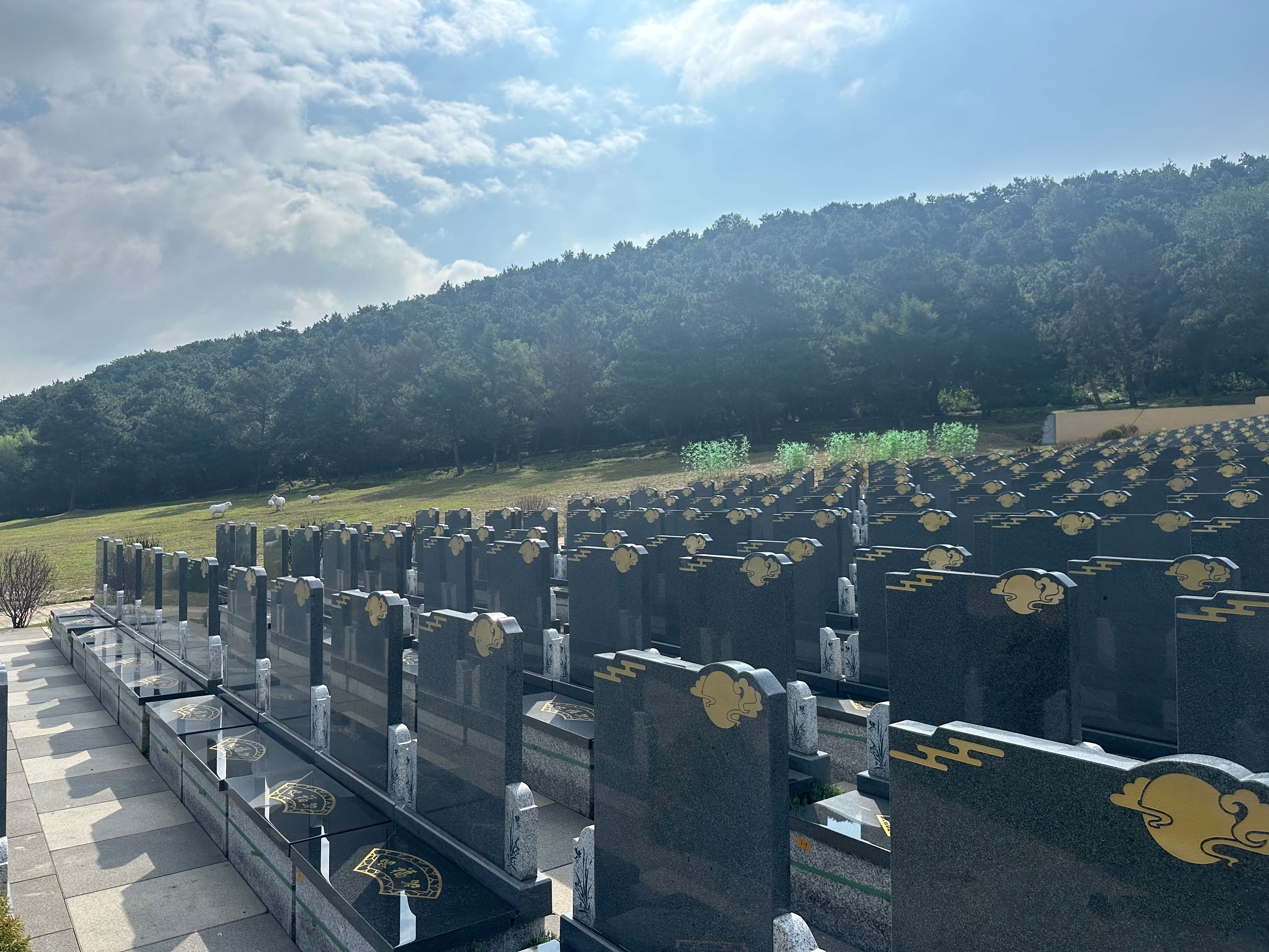 西城寝园便宜的墓价