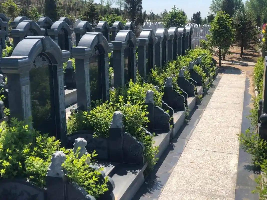 西城寝园官网预约流程