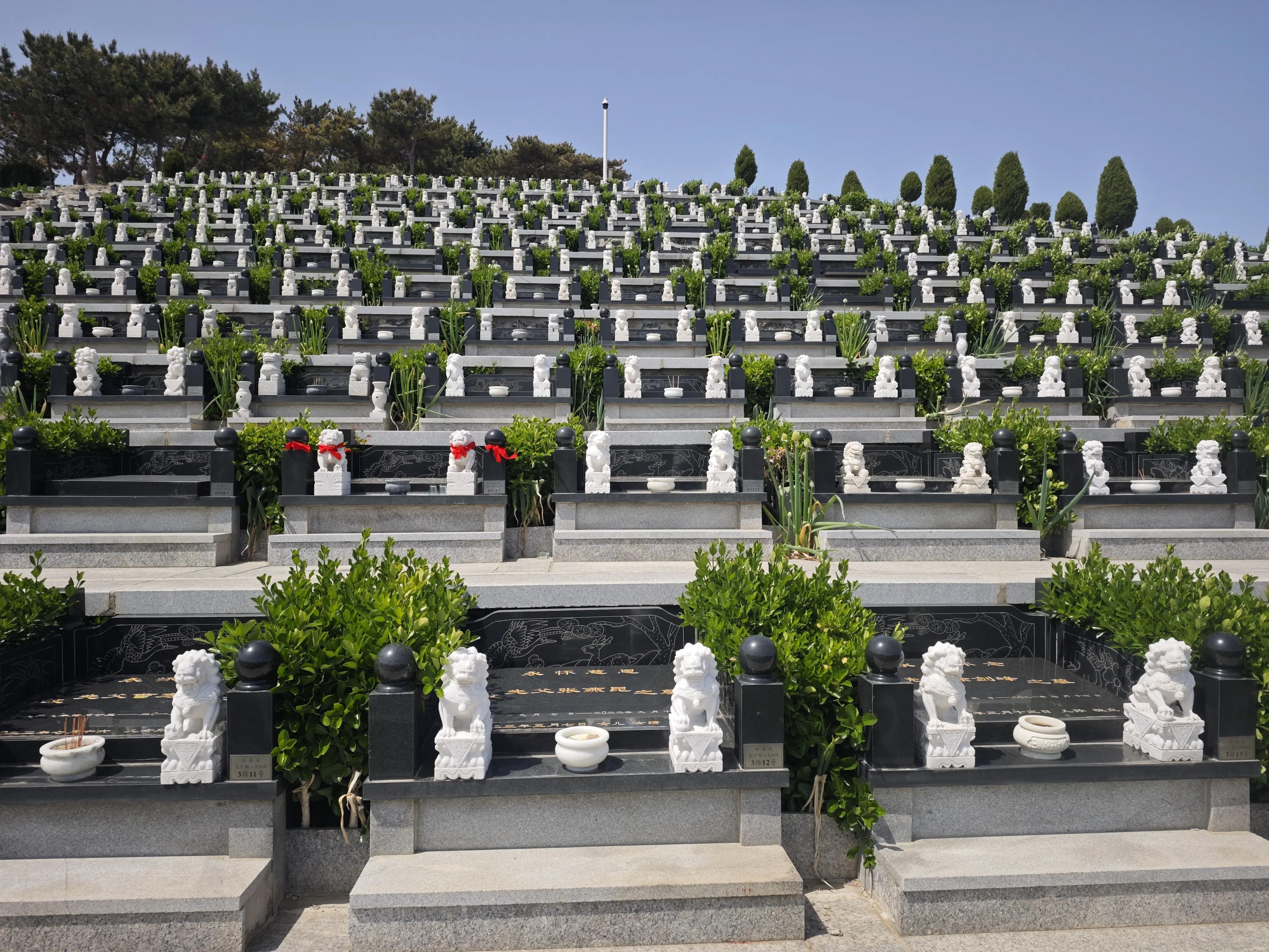 西城寝园新开放时间